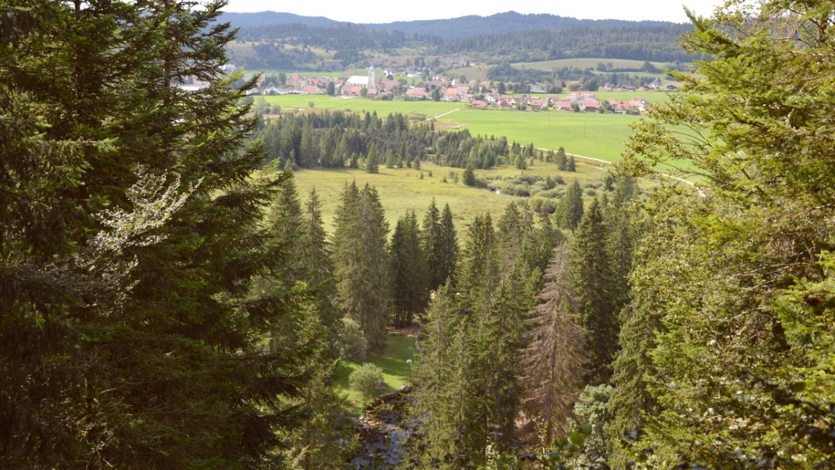 The Jura