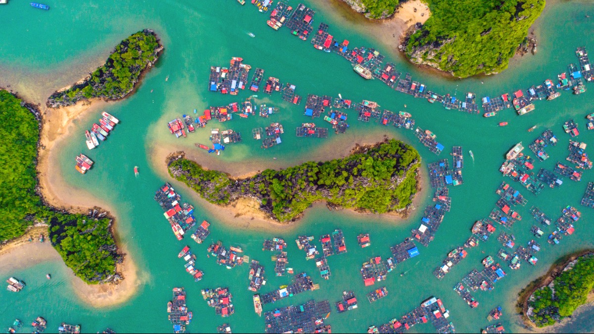 Cat Ba Island