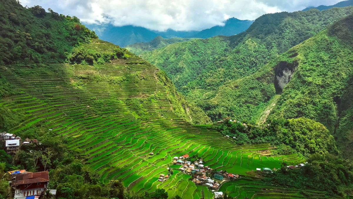 Rice Terraces Of The Philippine Cordilleras