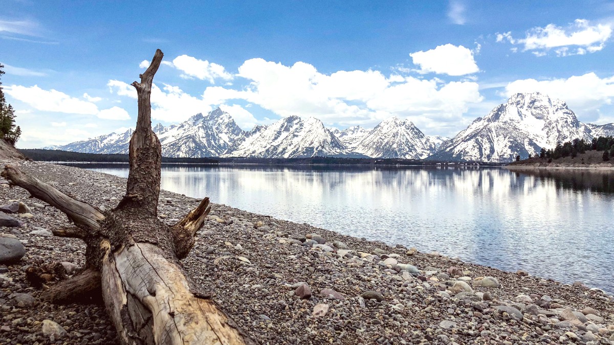 Jackson Hole