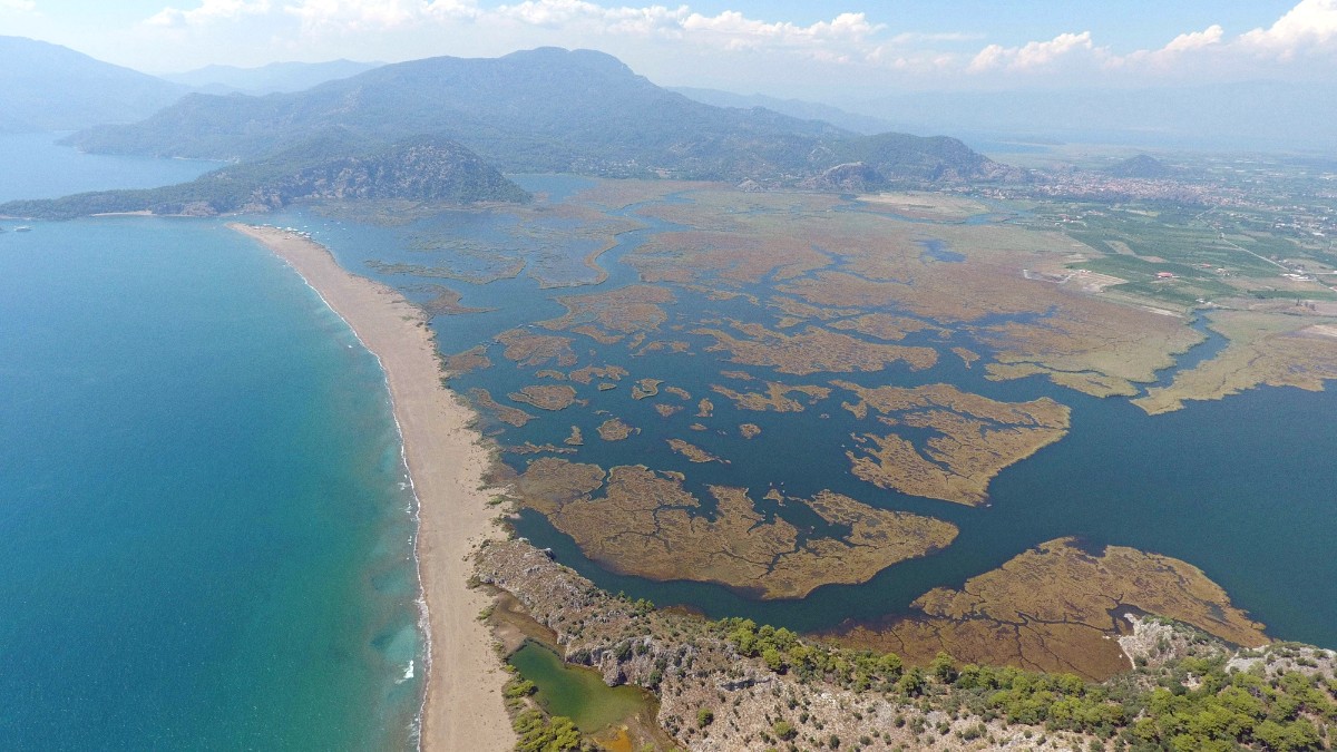 Dalyan