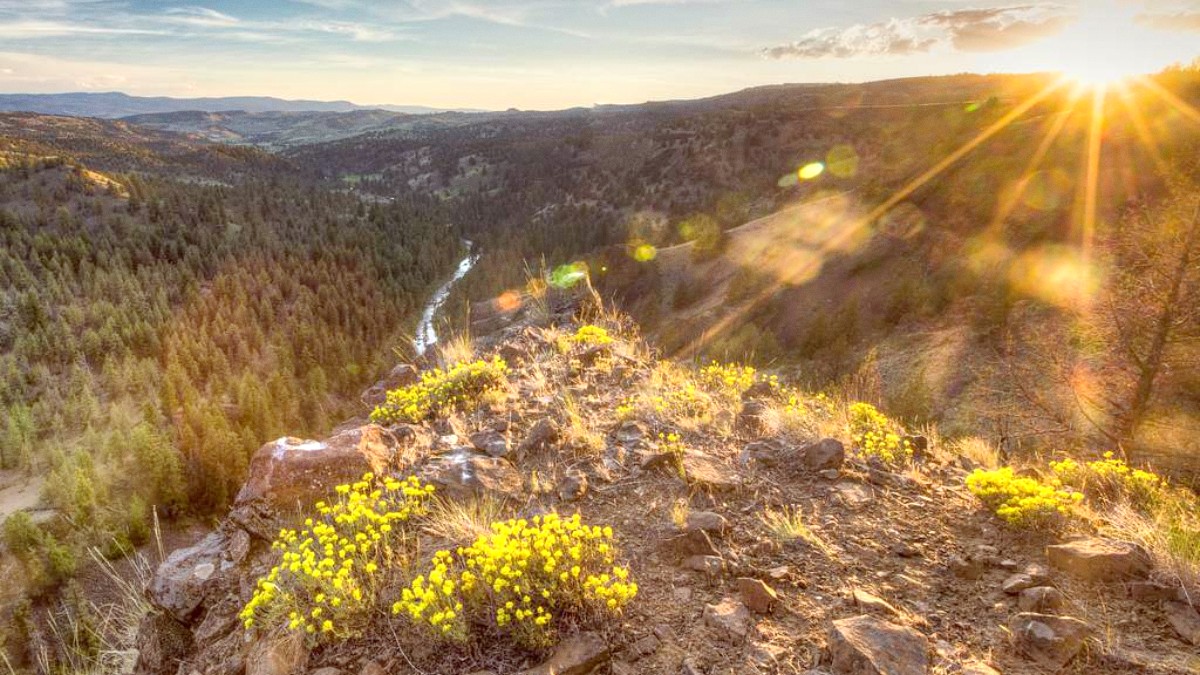 Idaho