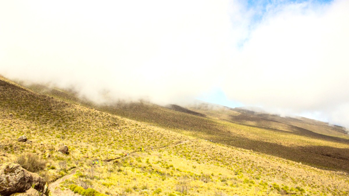 Mount Kilimanjaro
