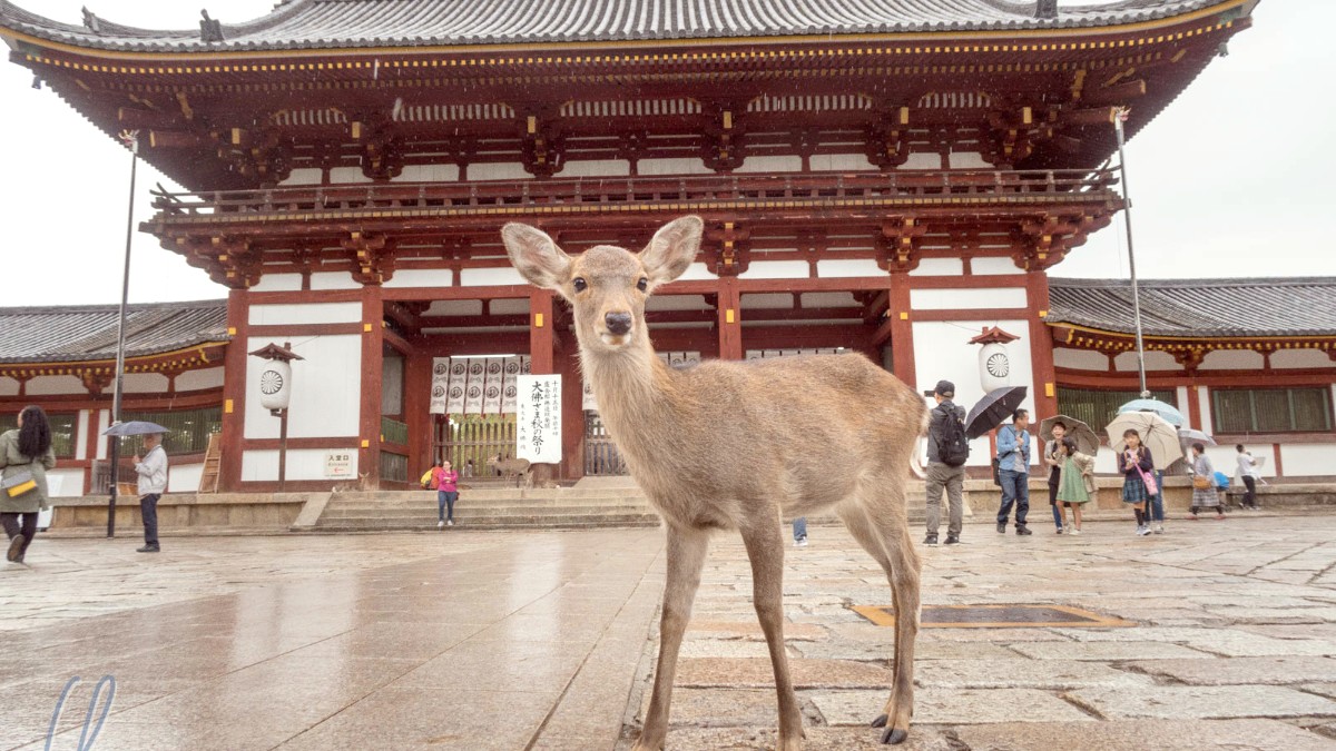 Kansai