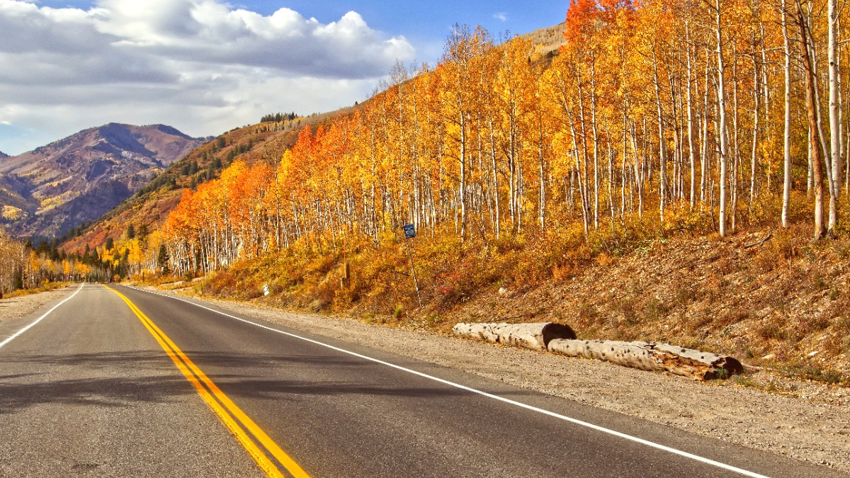 Aspen