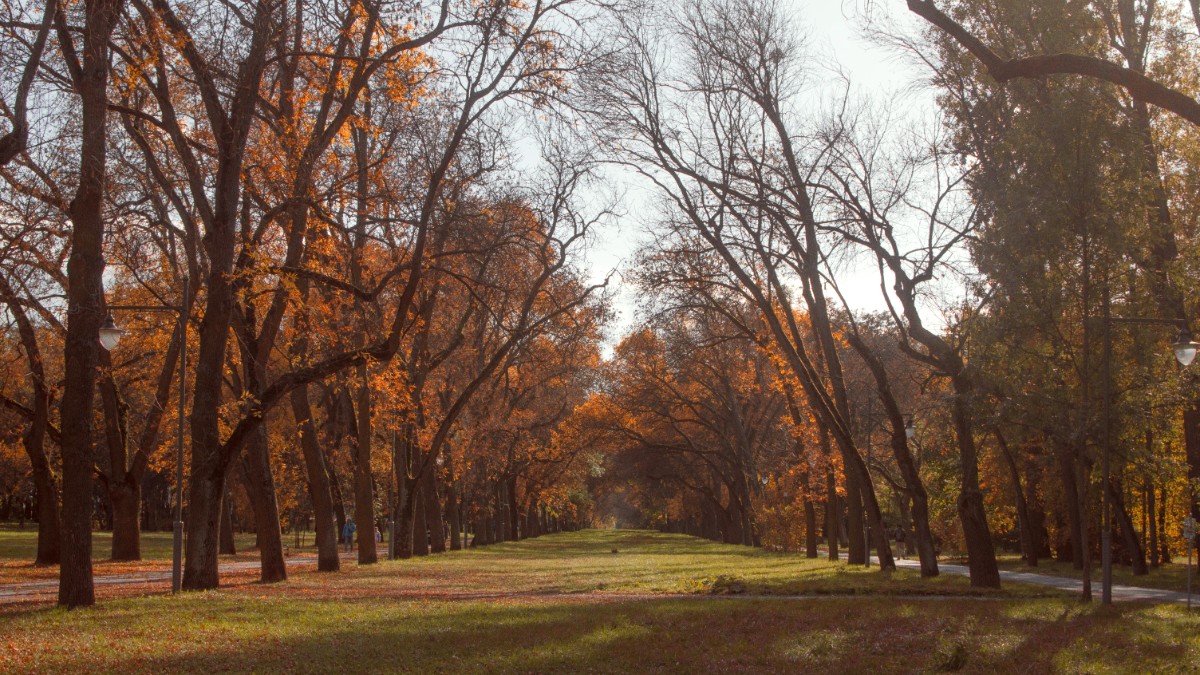 Lodz