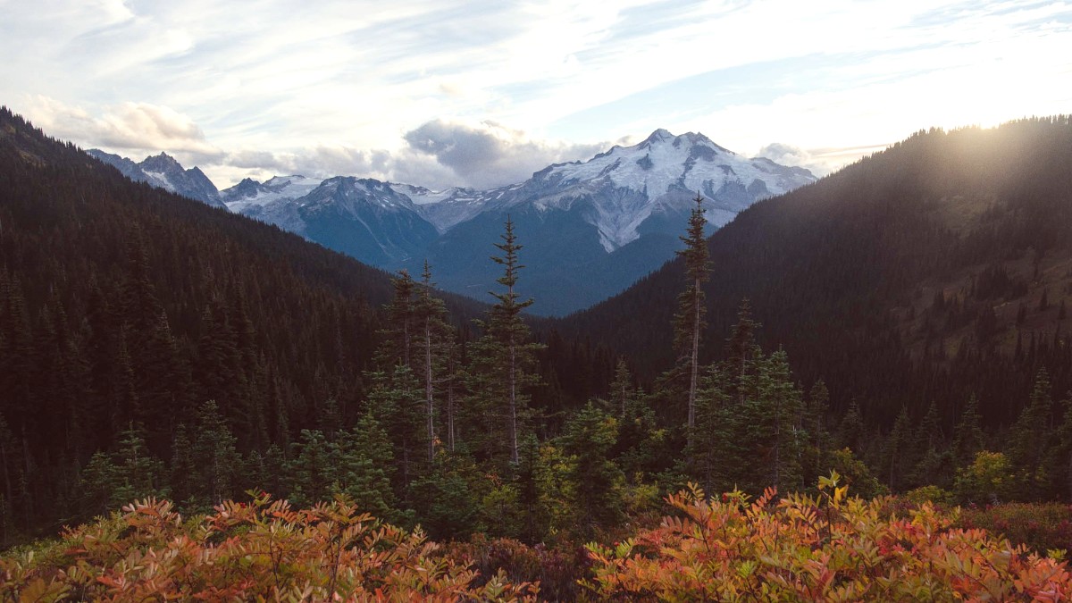 The Pacific Northwest