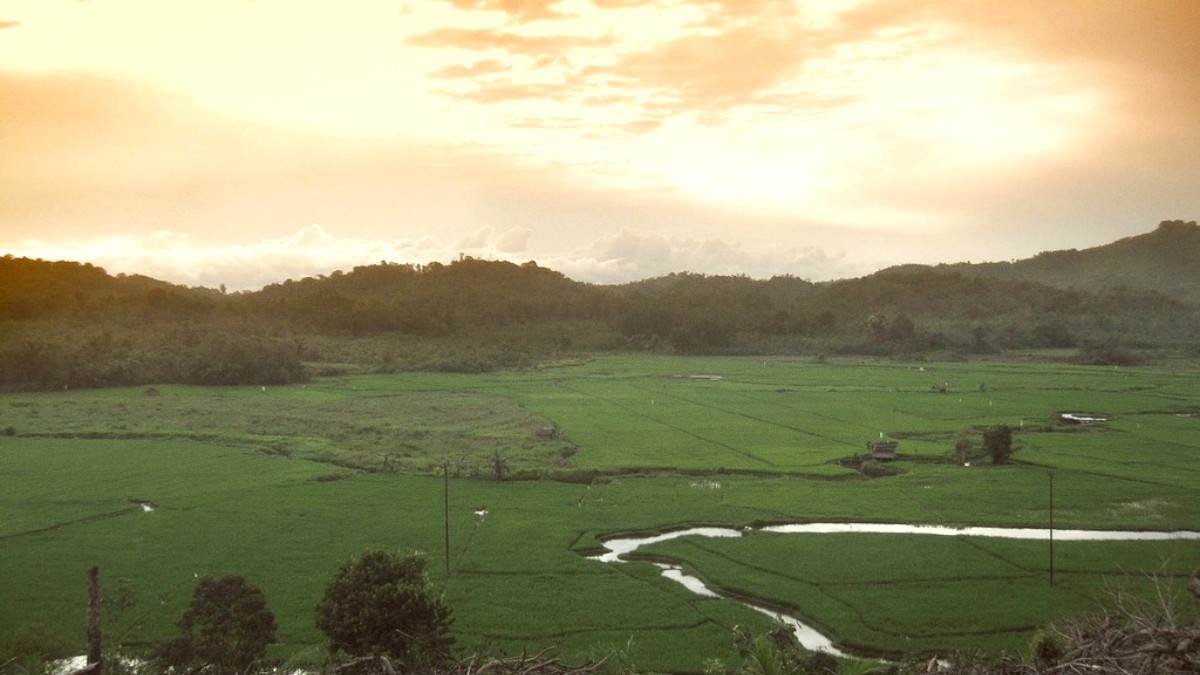 Borneo