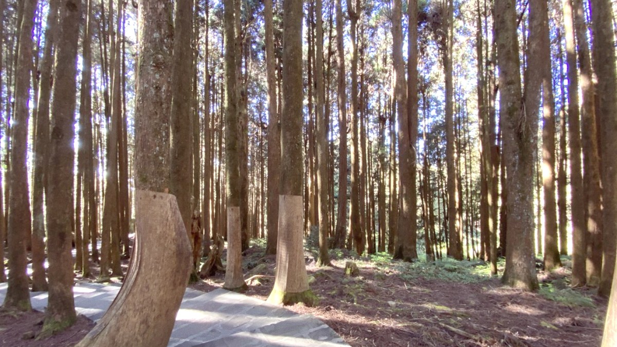 Alishan