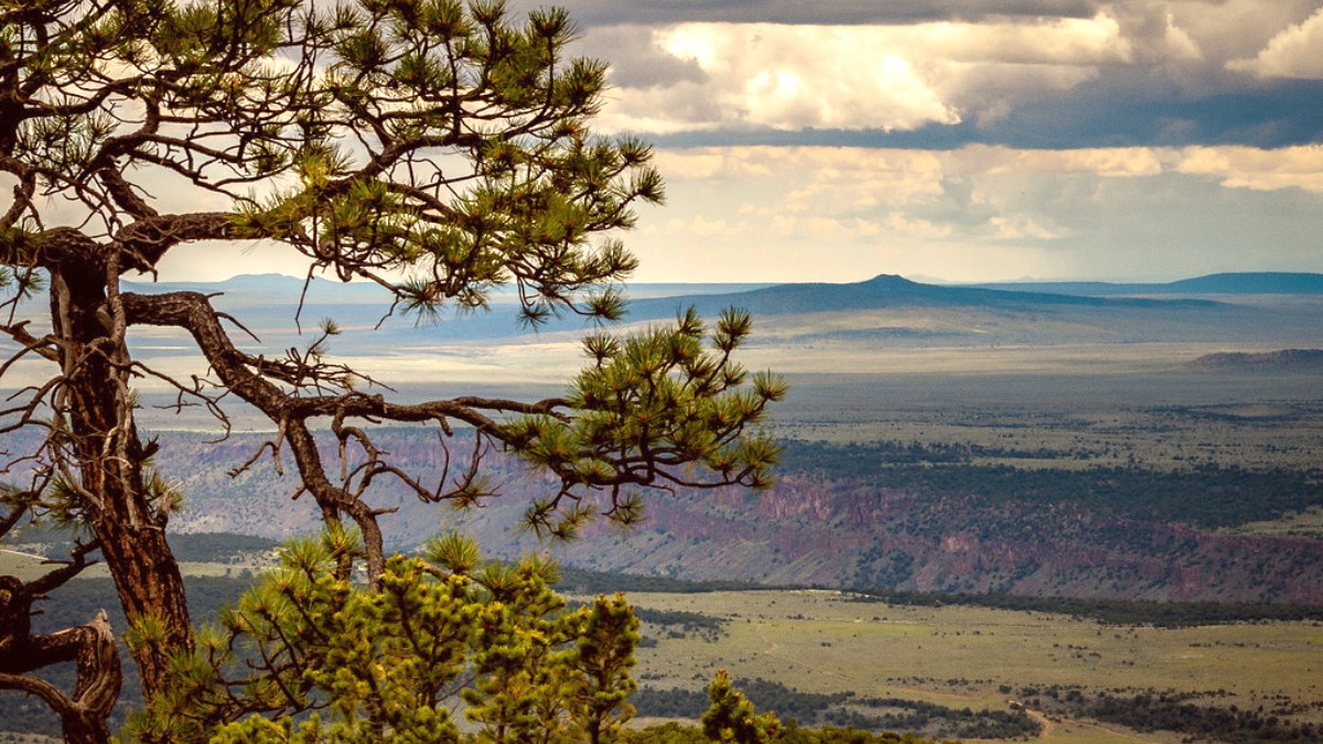 Taos