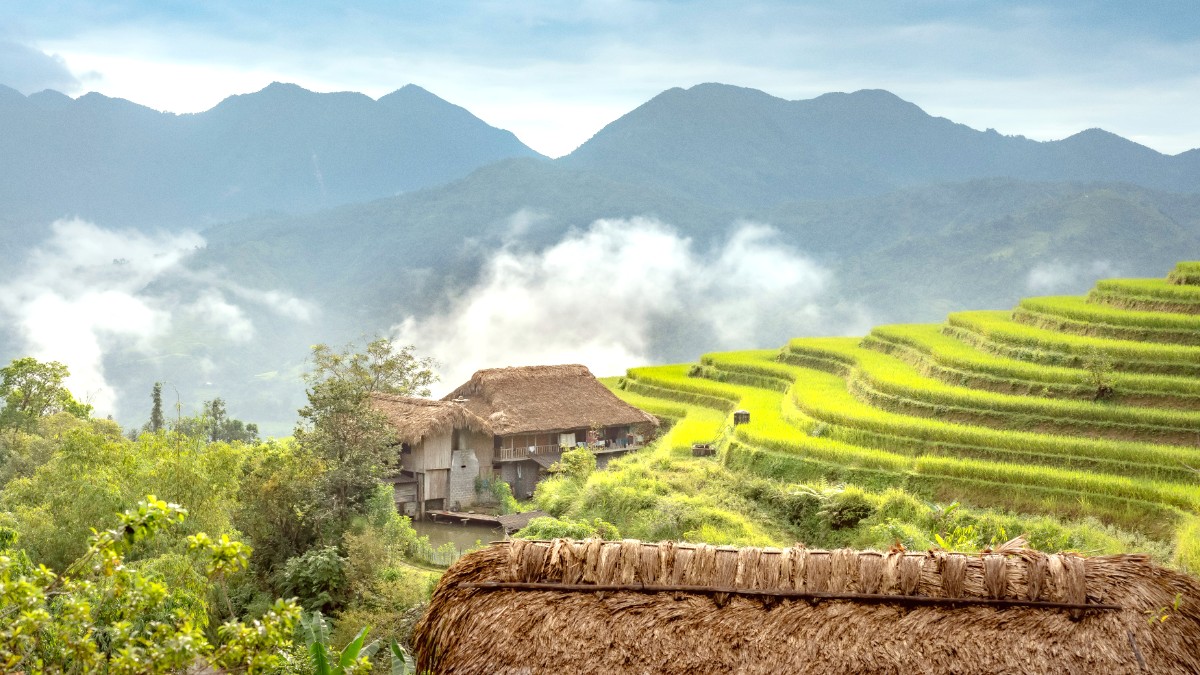 Mai Chau