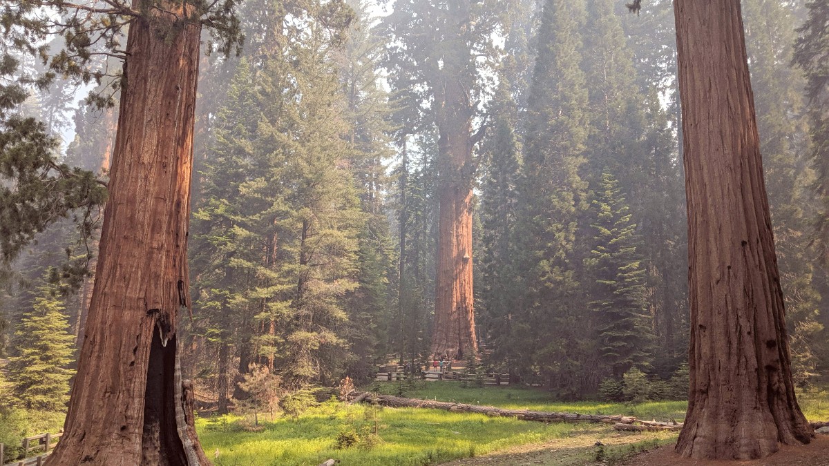 Sequoia National Park
