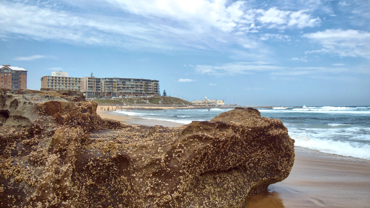 Newcastle