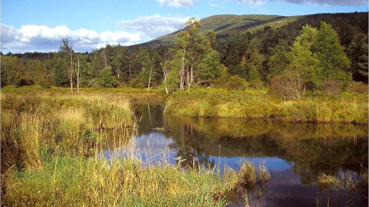 Catskills