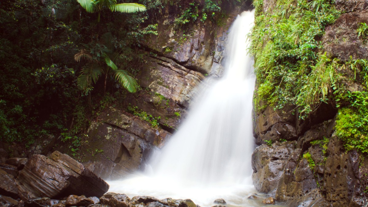 El Yunque