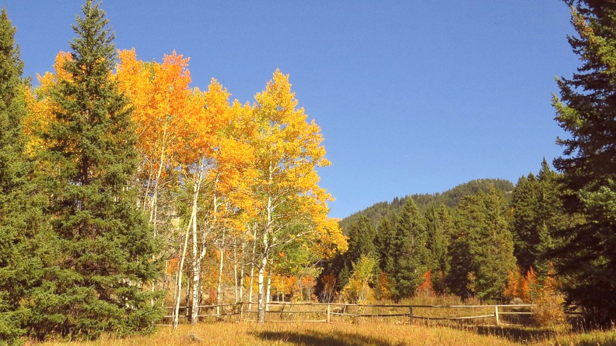 Bighorn Mountains