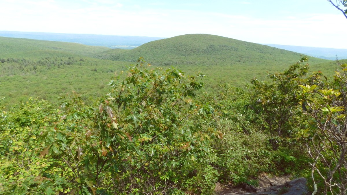 Litchfield Hills